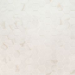 Brighton Gold 12X12 Hexagon Matte Porcelain Mosaic