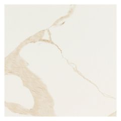 Eden Calacatta 24 In. X 24 In. Matte Porcelain Tile